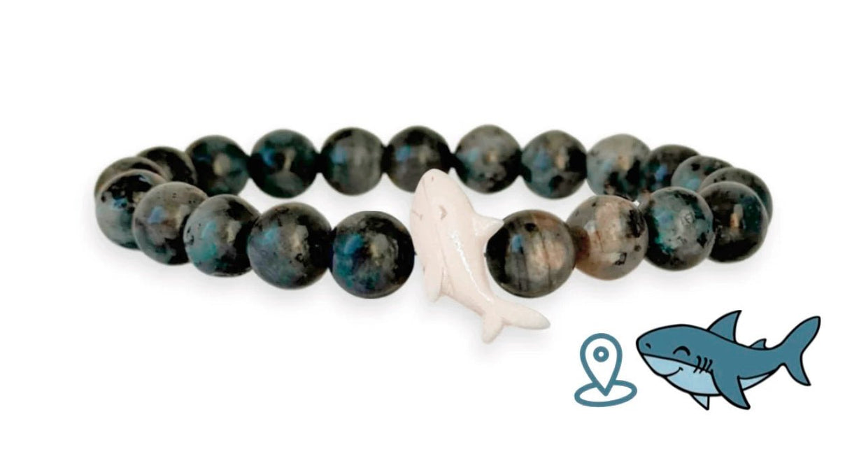 Shark tracking bracelet - World Protectors