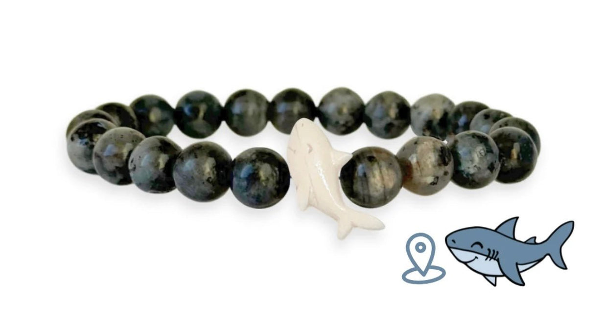 Shark tracking bracelet - World Protectors