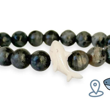Shark tracking bracelet - World Protectors